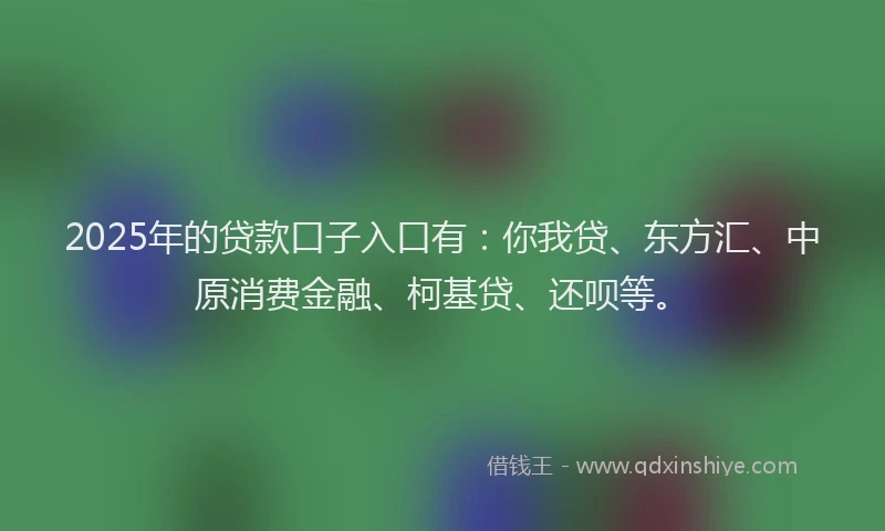 2025年的贷款口子入口有：你我贷、东方汇、中原消费金融、柯基贷、还呗等。