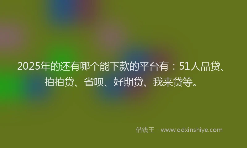 2025年的还有哪个能下款的平台有：51人品贷、拍拍贷、省呗、好期贷、我来贷等。