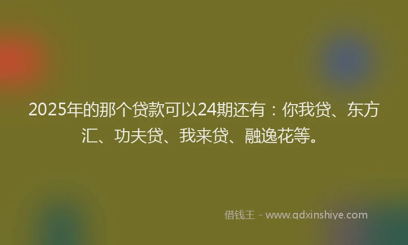 2025年的那个贷款可以24期还有：你我贷、东方汇、功夫贷、我来贷、融逸花等。