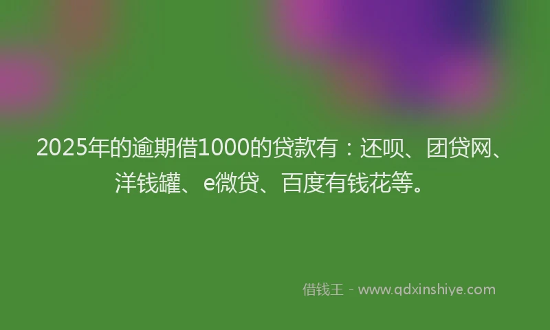 2025年的逾期借1000的贷款有：还呗、团贷网、洋钱罐、e微贷、百度有钱花等。