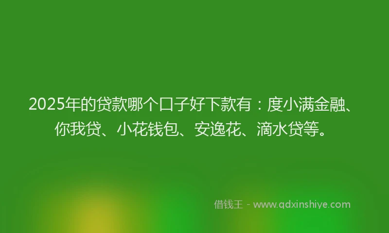 2025年的贷款哪个口子好下款有：度小满金融、你我贷、小花钱包、安逸花、滴水贷等。