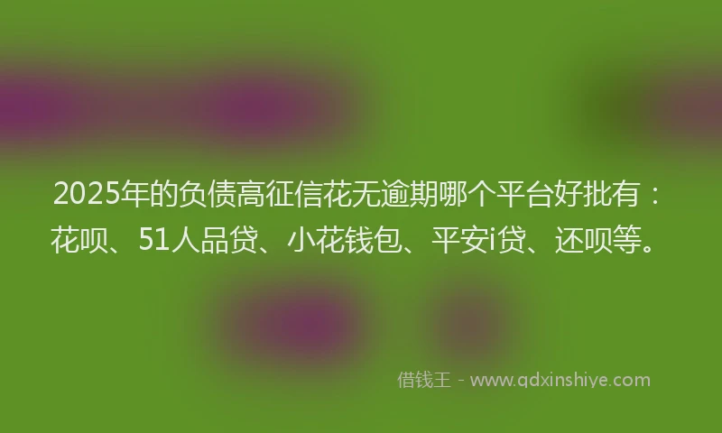 2025年的负债高征信花无逾期哪个平台好批有：花呗、51人品贷、小花钱包、平安i贷、还呗等。