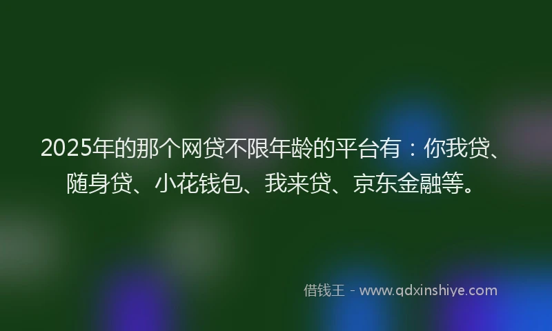 2025年的那个网贷不限年龄的平台有：你我贷、随身贷、小花钱包、我来贷、京东金融等。