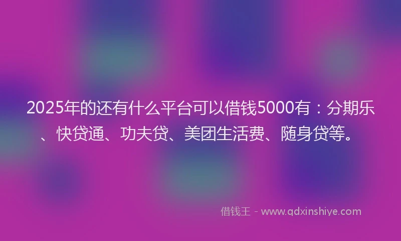 2025年的还有什么平台可以借钱5000有：分期乐、快贷通、功夫贷、美团生活费、随身贷等。