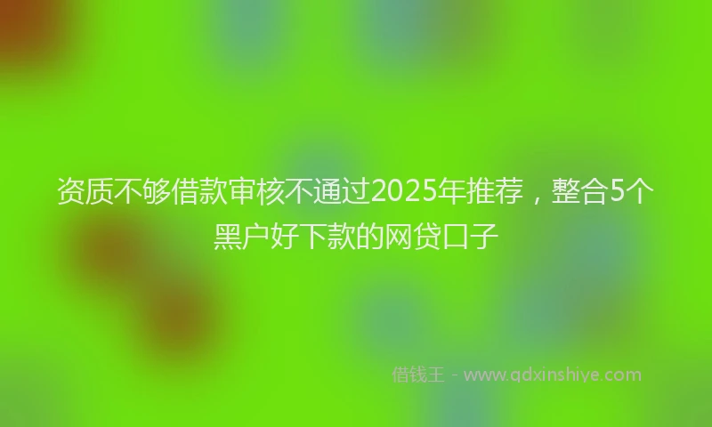 资质不够借款审核不通过2025年推荐，整合5个黑户好下款的网贷口子