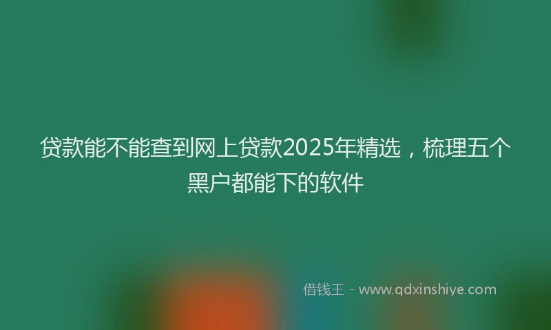 贷款能不能查到网上贷款2025年精选，梳理五个黑户都能下的软件