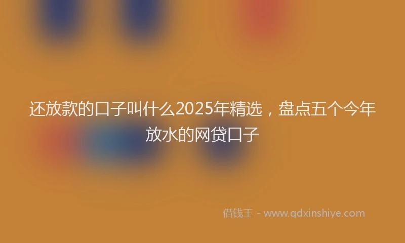 还放款的口子叫什么2025年精选，盘点五个今年放水的网贷口子