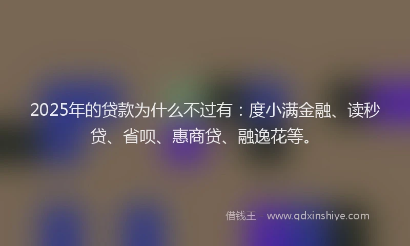 2025年的贷款为什么不过有：度小满金融、读秒贷、省呗、惠商贷、融逸花等。