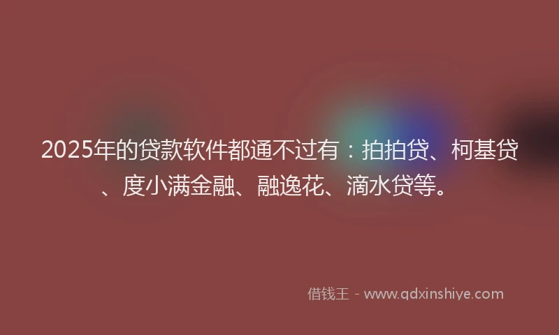2025年的贷款软件都通不过有：拍拍贷、柯基贷、度小满金融、融逸花、滴水贷等。
