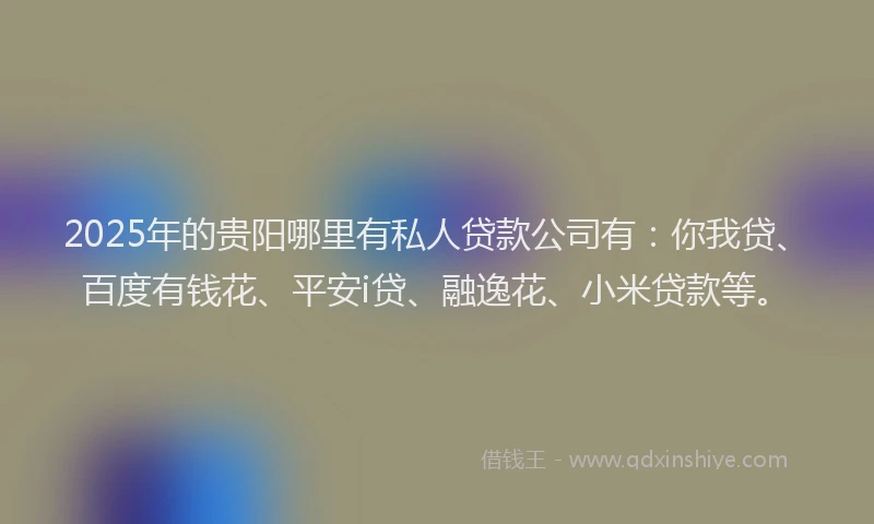2025年的贵阳哪里有私人贷款公司有：你我贷、百度有钱花、平安i贷、融逸花、小米贷款等。