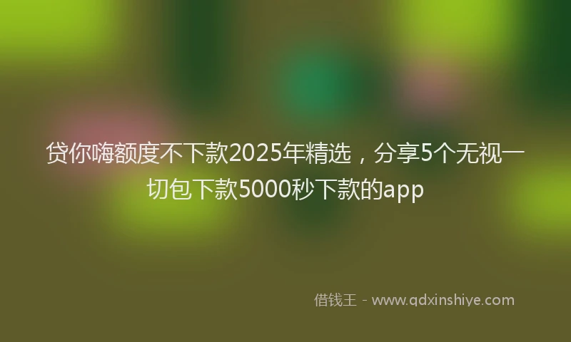 贷你嗨额度不下款2025年精选，分享5个无视一切包下款5000秒下款的app