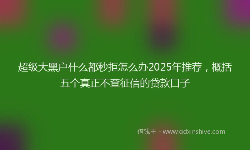 超级大黑户什么都秒拒怎么办2025年推荐，概括五个真正不查征信的贷款口子