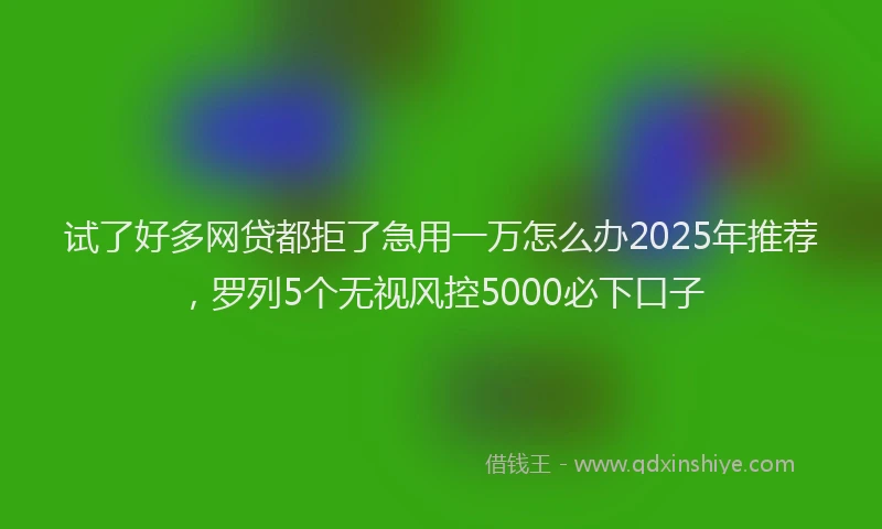 试了好多网贷都拒了急用一万怎么办2025年推荐，罗列5个无视风控5000必下口子