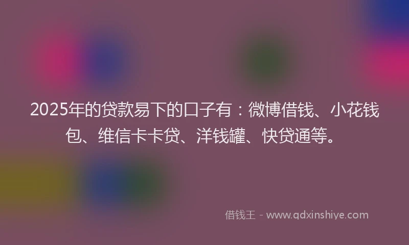 2025年的贷款易下的口子有：微博借钱、小花钱包、维信卡卡贷、洋钱罐、快贷通等。
