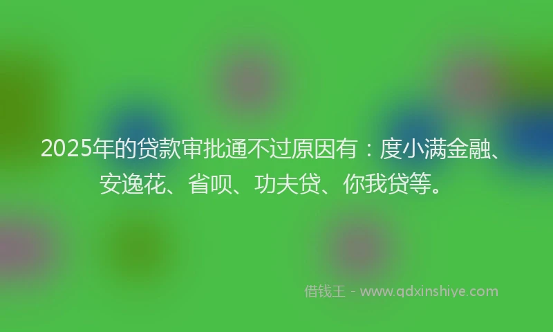 2025年的贷款审批通不过原因有：度小满金融、安逸花、省呗、功夫贷、你我贷等。