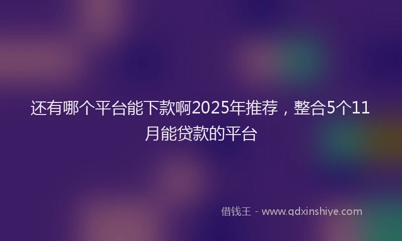 还有哪个平台能下款啊2025年推荐，整合5个11月能贷款的平台