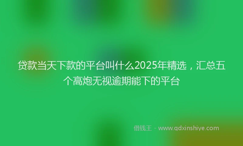 贷款当天下款的平台叫什么2025年精选，汇总五个高炮无视逾期能下的平台