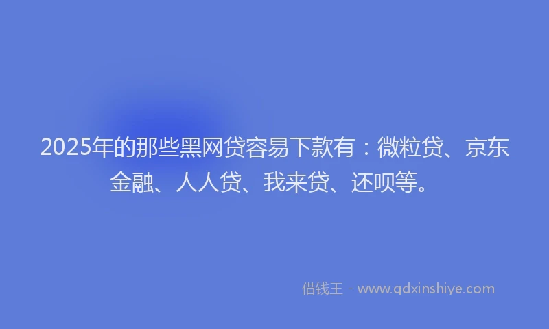 2025年的那些黑网贷容易下款有：微粒贷、京东金融、人人贷、我来贷、还呗等。