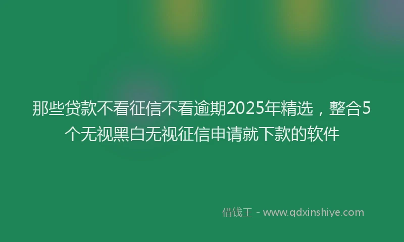 那些贷款不看征信不看逾期2025年精选，整合5个无视黑白无视征信申请就下款的软件