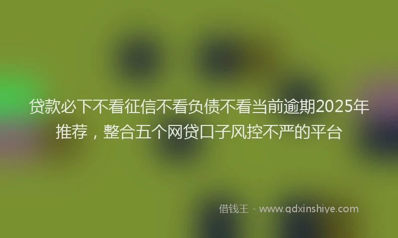 贷款必下不看征信不看负债不看当前逾期2025年推荐，整合五个网贷口子风控不严的平台