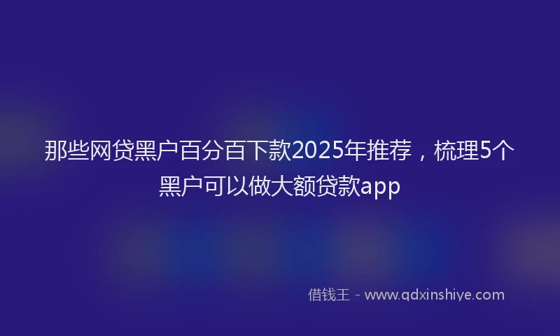 那些网贷黑户百分百下款2025年推荐，梳理5个黑户可以做大额贷款app