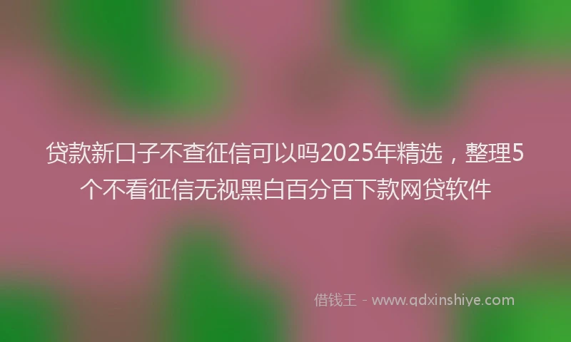 贷款新口子不查征信可以吗2025年精选，整理5个不看征信无视黑白百分百下款网贷软件