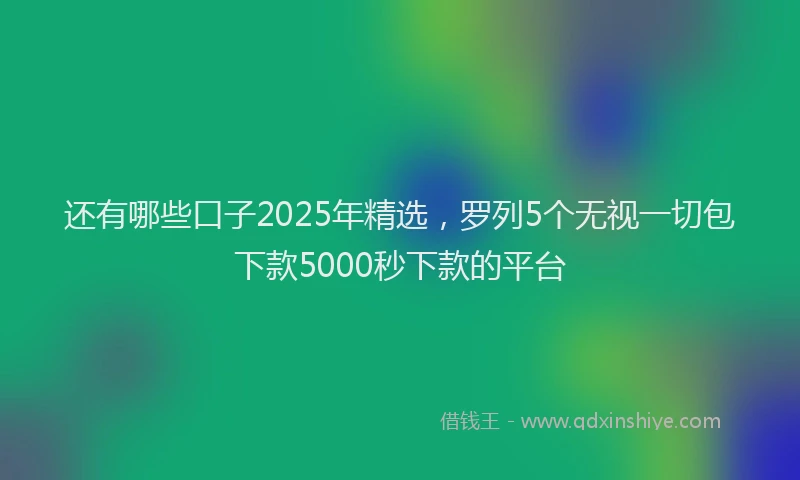 还有哪些口子2025年精选，罗列5个无视一切包下款5000秒下款的平台
