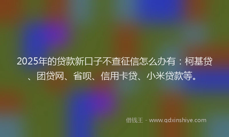 2025年的贷款新口子不查征信怎么办有：柯基贷、团贷网、省呗、信用卡贷、小米贷款等。