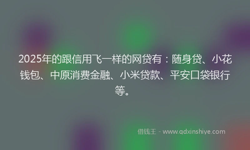 2025年的跟信用飞一样的网贷有：随身贷、小花钱包、中原消费金融、小米贷款、平安口袋银行等。