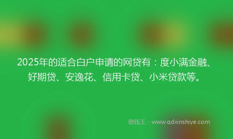 2025年的适合白户申请的网贷有：度小满金融、好期贷、安逸花、信用卡贷、小米贷款等。