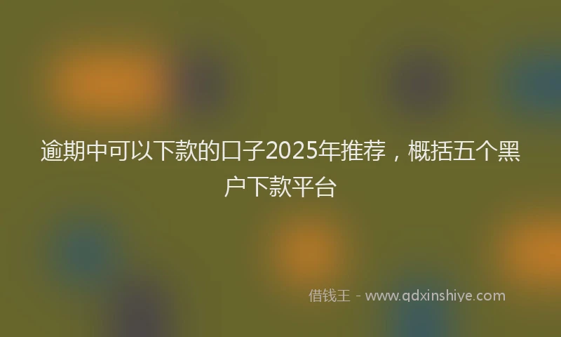 逾期中可以下款的口子2025年推荐，概括五个黑户下款平台