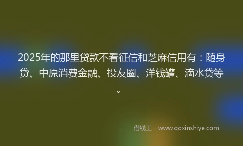 2025年的那里贷款不看征信和芝麻信用有：随身贷、中原消费金融、投友圈、洋钱罐、滴水贷等。