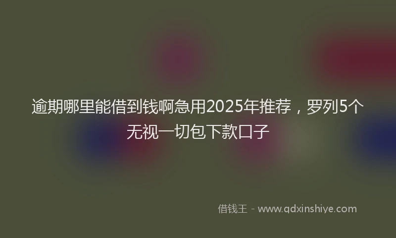 逾期哪里能借到钱啊急用2025年推荐，罗列5个无视一切包下款口子