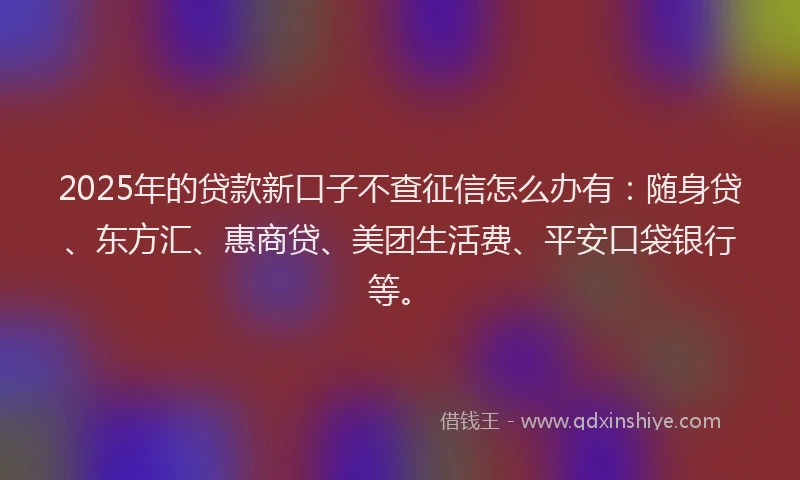 2025年的贷款新口子不查征信怎么办有：随身贷、东方汇、惠商贷、美团生活费、平安口袋银行等。