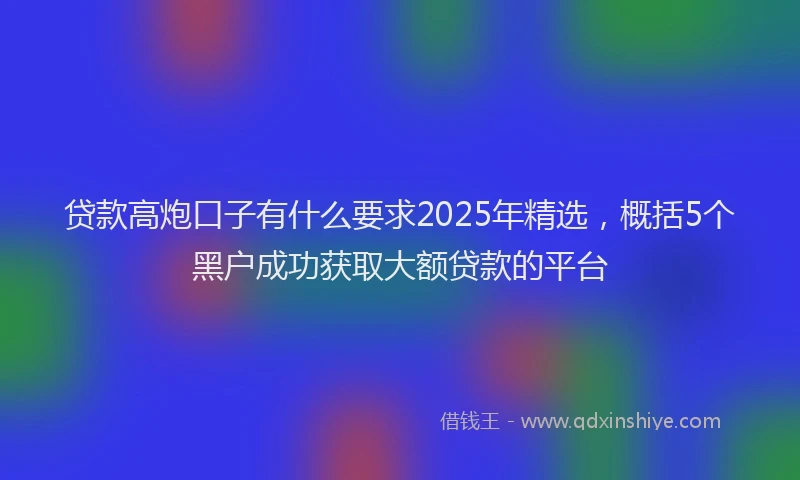 贷款高炮口子有什么要求2025年精选，概括5个黑户成功获取大额贷款的平台
