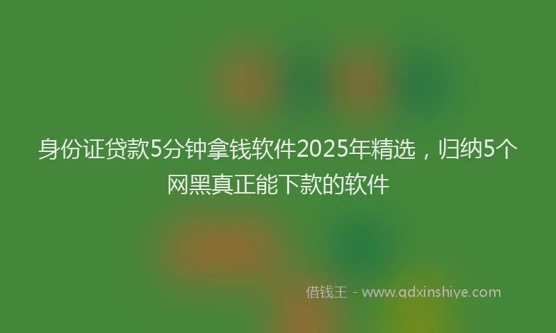身份证贷款5分钟拿钱软件2025年精选，归纳5个网黑真正能下款的软件