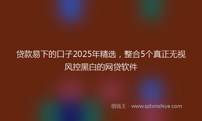贷款易下的口子2025年精选，整合5个真正无视风控黑白的网贷软件