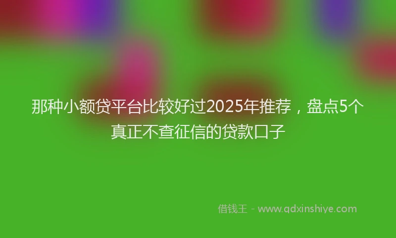 那种小额贷平台比较好过2025年推荐，盘点5个真正不查征信的贷款口子