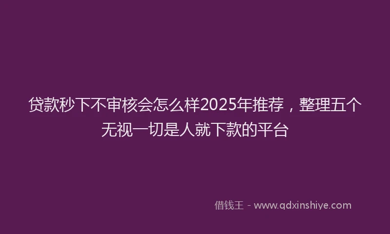 贷款秒下不审核会怎么样2025年推荐，整理五个无视一切是人就下款的平台