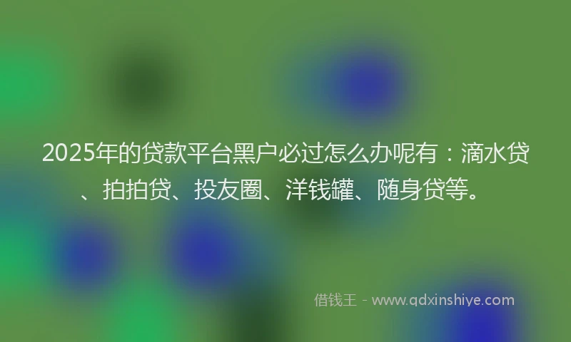 2025年的贷款平台黑户必过怎么办呢有：滴水贷、拍拍贷、投友圈、洋钱罐、随身贷等。