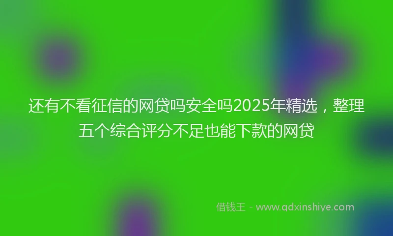 还有不看征信的网贷吗安全吗2025年精选，整理五个综合评分不足也能下款的网贷