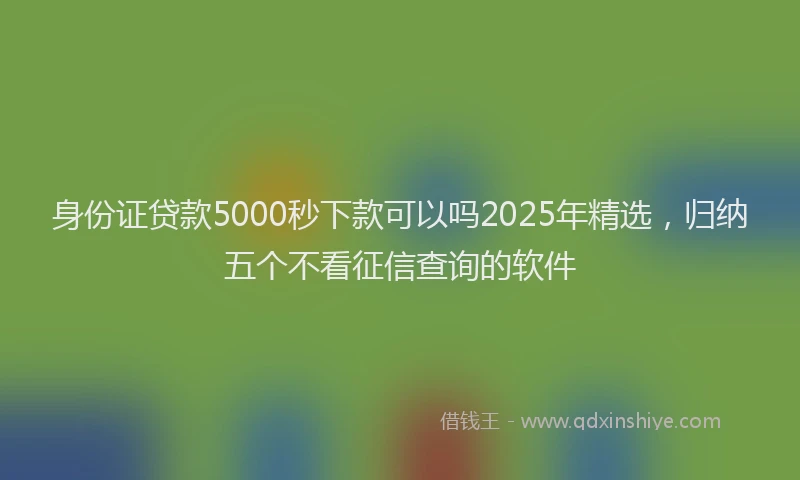 身份证贷款5000秒下款可以吗2025年精选，归纳五个不看征信查询的软件