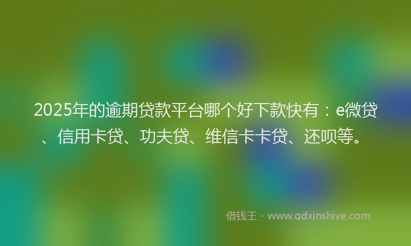 2025年的逾期贷款平台哪个好下款快有：e微贷、信用卡贷、功夫贷、维信卡卡贷、还呗等。