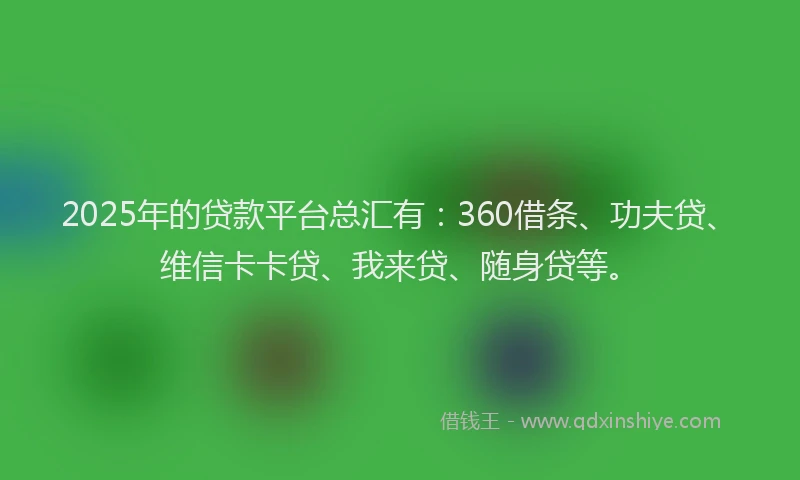 2025年的贷款平台总汇有：360借条、功夫贷、维信卡卡贷、我来贷、随身贷等。