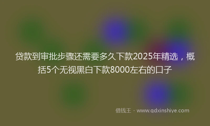 贷款到审批步骤还需要多久下款2025年精选，概括5个无视黑白下款8000左右的口子