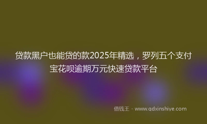 贷款黑户也能贷的款2025年精选，罗列五个支付宝花呗逾期万元快速贷款平台