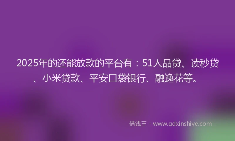 2025年的还能放款的平台有：51人品贷、读秒贷、小米贷款、平安口袋银行、融逸花等。