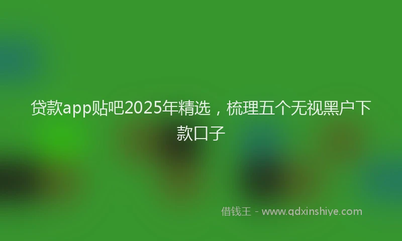 贷款app贴吧2025年精选，梳理五个无视黑户下款口子
