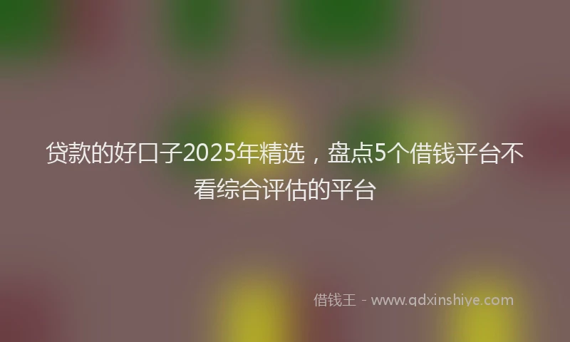贷款的好口子2025年精选，盘点5个借钱平台不看综合评估的平台