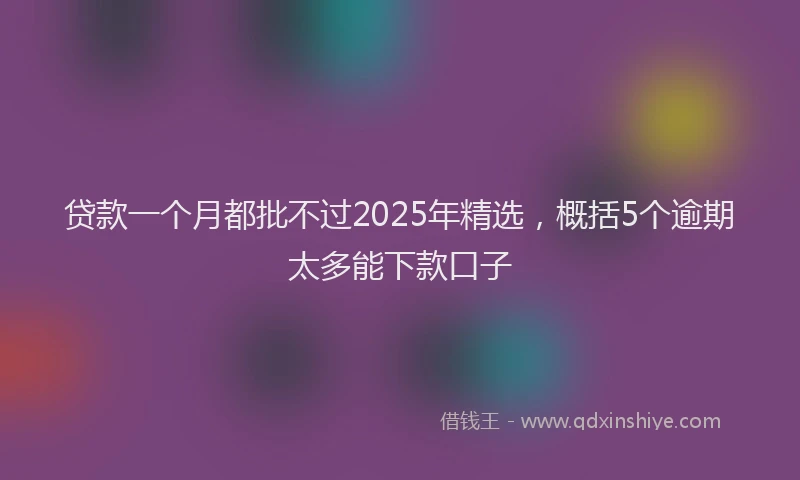 贷款一个月都批不过2025年精选，概括5个逾期太多能下款口子